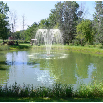 Fountain nozzle Willow Tree 59